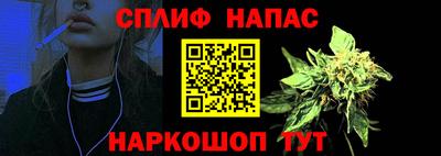 сатива Коммунар
