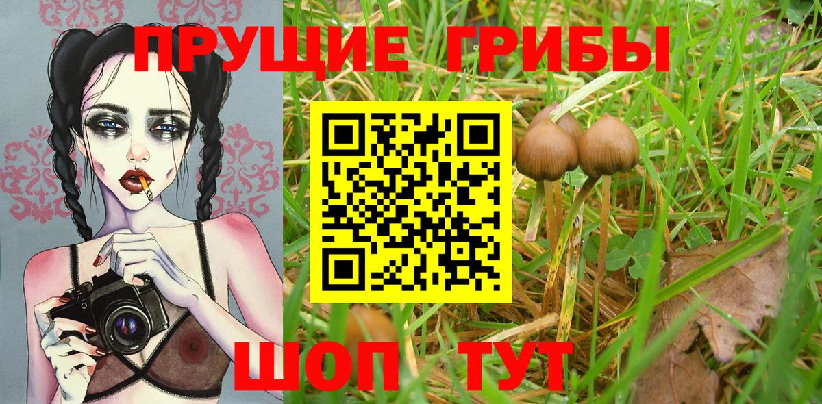 Морозовск  цена наркотик  Вход с VPN  Псилоцибиновые грибы мухоморы 