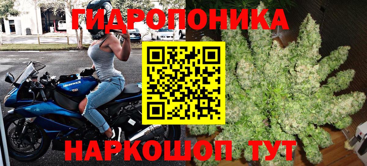 Канабис планчик Морозовск